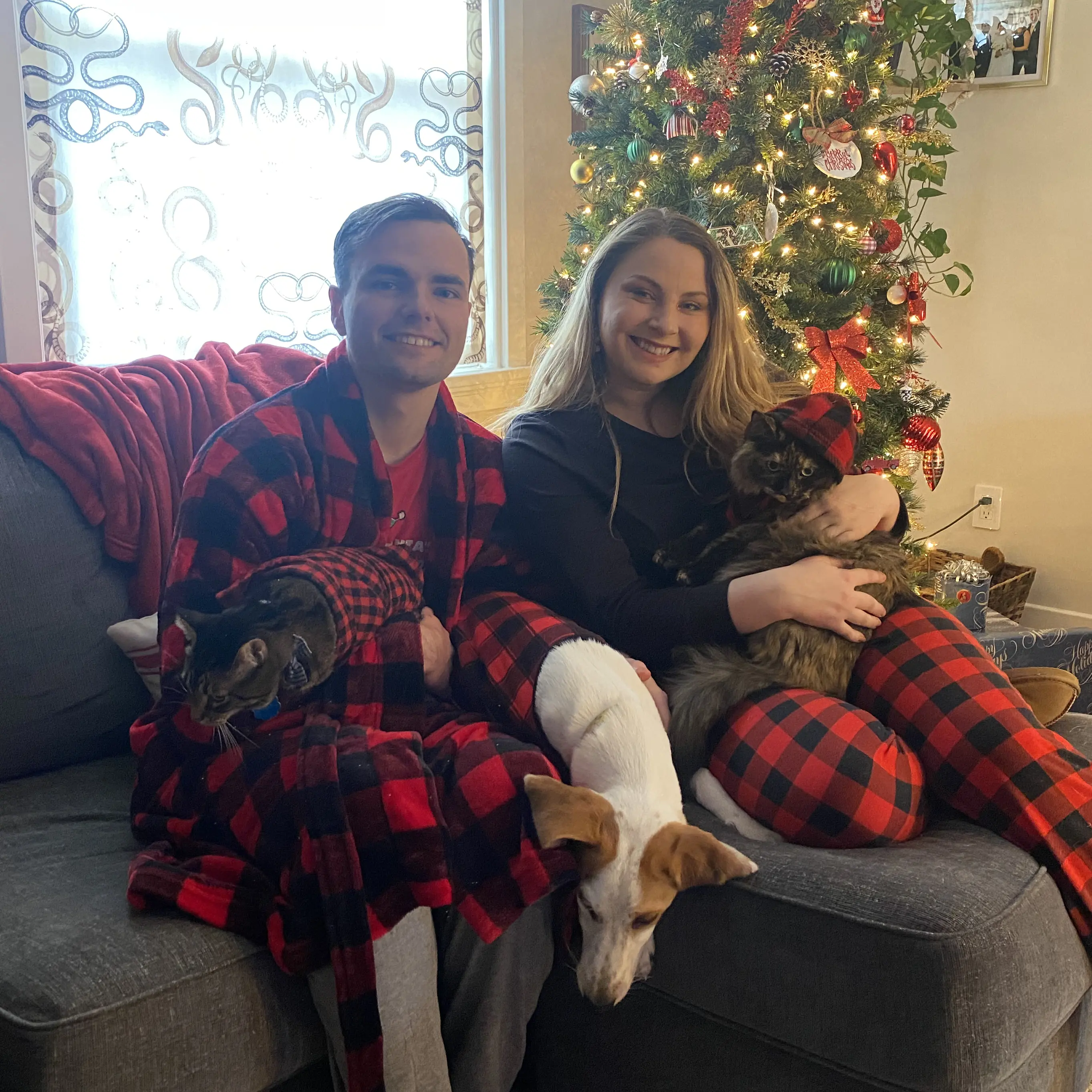 me, my wife, dog, and two cats